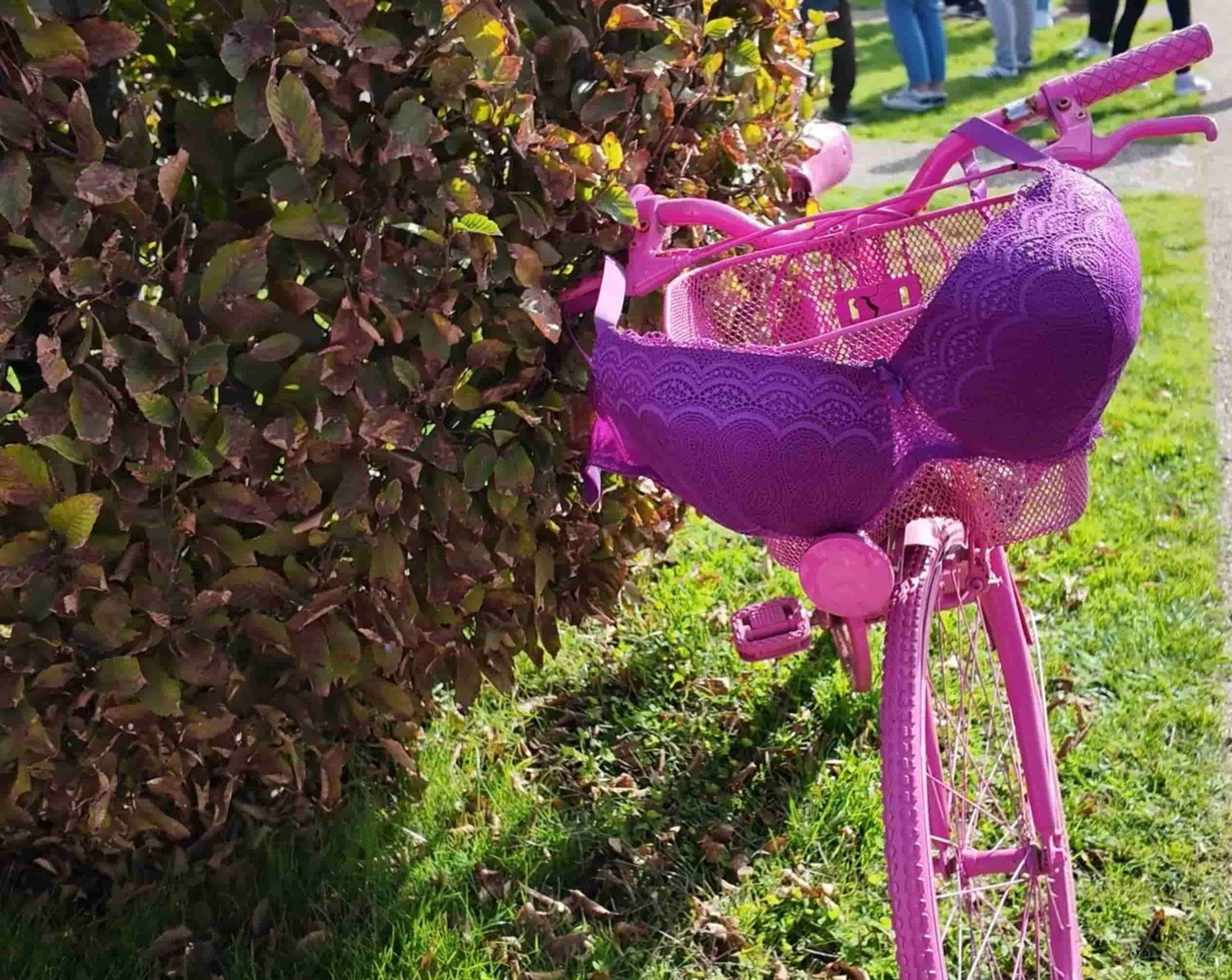 Octobre rose 2025